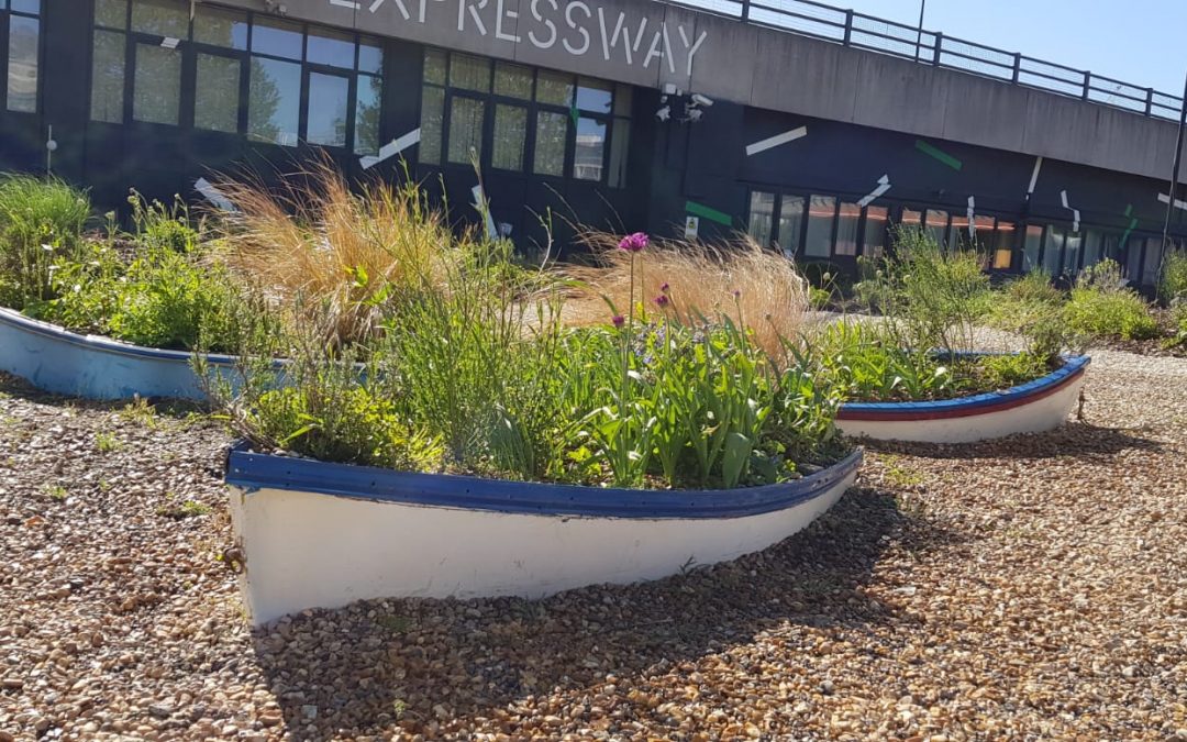 Royal Docks Waterside Garden