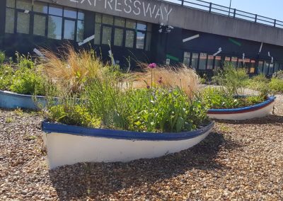 Royal Docks Waterside Garden